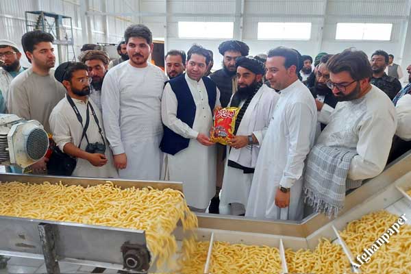 سخنگوی طالبان با بفک نمکی