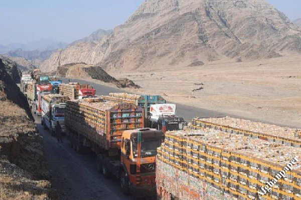 انگور افغانستان پشت دروازه های پاکستان