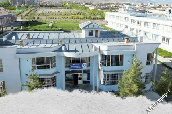 طالبان دانشجویان پکتیا را سر قبر اولین انتحاری بردند