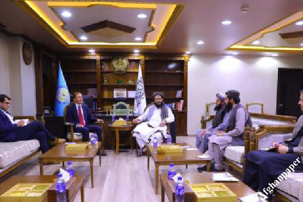 نماینده ویژه انگلیس در کابل