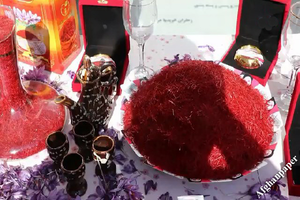 دهمین جشنوارۀ گل زعفران در هرات