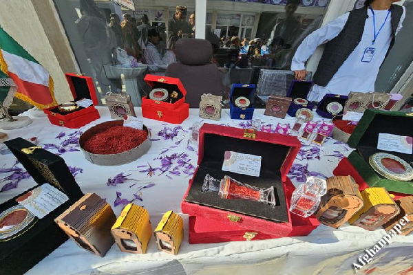 دهمین جشنوارۀ گل زعفران در هرات