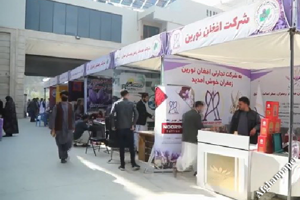 دهمین جشنوارۀ گل زعفران در هرات