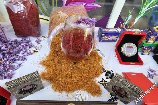 دهمین جشنوارۀ گل زعفران در هرات