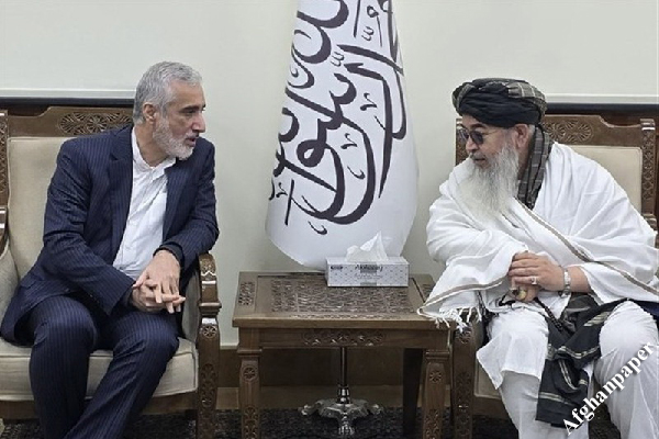 معاون وزیر و رییس سازمان غذا و داروی ایران به کابل رفت