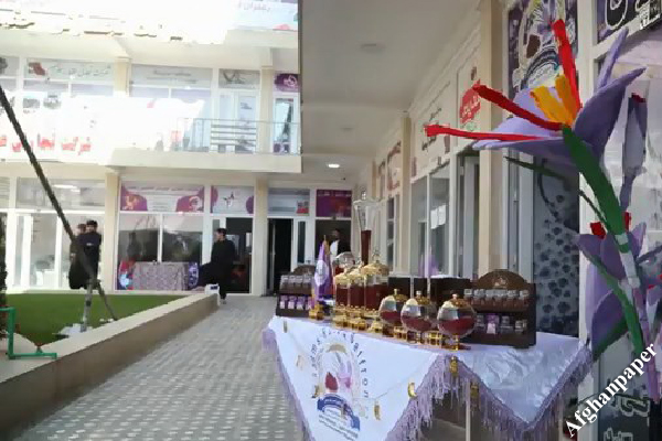 جشنواره زعفران