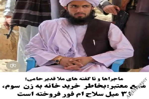 هر عکس، یک جمله