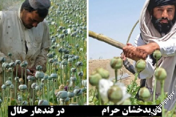 هر عکس، یک جمله